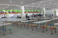 广州市翡翠教育信息咨询 专业引领，点亮羊城学子求学路